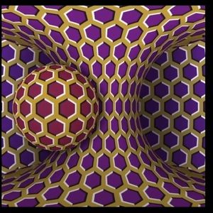 Meet your Posher, Joe